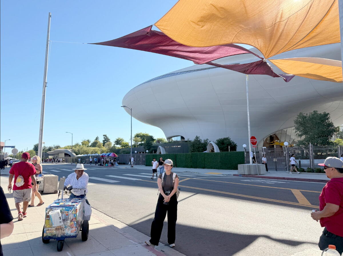 A person stands under floating fabric on a sidewalk as other people walk near them.