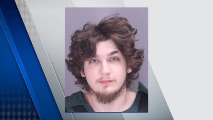Oakland County man sentenced for shooting death of his 23-year-old fiancée