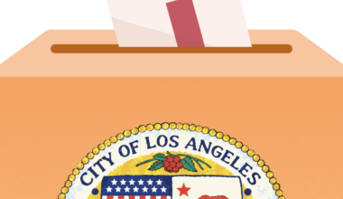 Why isn't the LA City Council on my ballot?