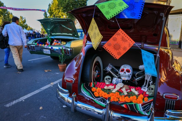 The lowrider cars show featured trunk altars displayed during the inaugural La Ofrenda Festival which celebrates Dia de los Muertos in downtown Gilroy, Calif., on Saturday, Oct. 28, 2023. People dressed in decorative Day of the Dead attire enjoy the festival featuring traditional altars, offerings characteristic of the holiday, food, art, live music, informative booths and free wellness screenings. (Ray Chavez/Bay Area News Group)