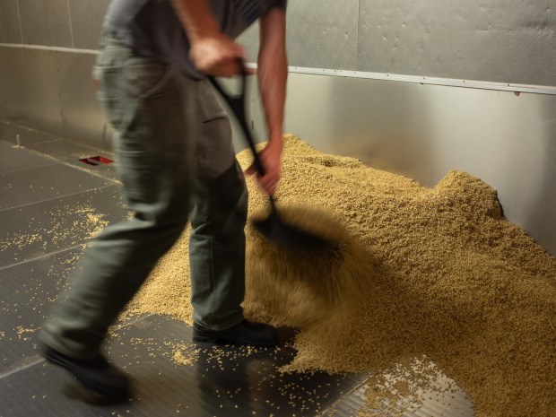 Co-founder Curtis Davenport shovels the last batch of malts inside the kiln of the during the last day of operation of Admiral Maltings in Alameda, Calif. on October 2nd, 2026. (Douglas Despres for Bay Area News Group)