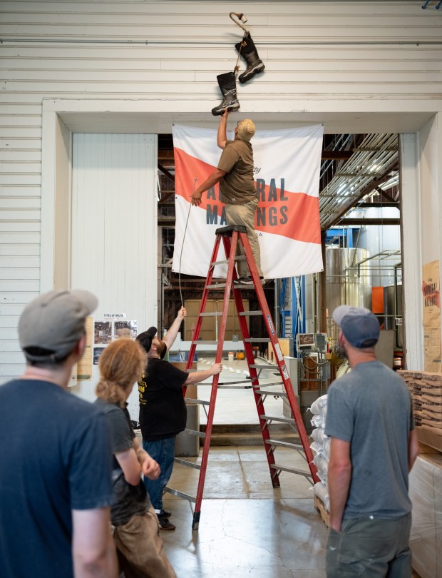 Diego Salinas stands upon a tall ladder to remove a pair of hanging work boots worn by former employee Anthony DiPasqua, who abruptly passed away in 2025, inside the production facitily of Admiral Maltings on it's last day of operation in Alameda, Calif. on October 2nd, 2026. Hanging up boots is a tradition by past employees to leave their mark, or in this case honor the life of DiPasqua. (Douglas Despres for Bay Area News Group)