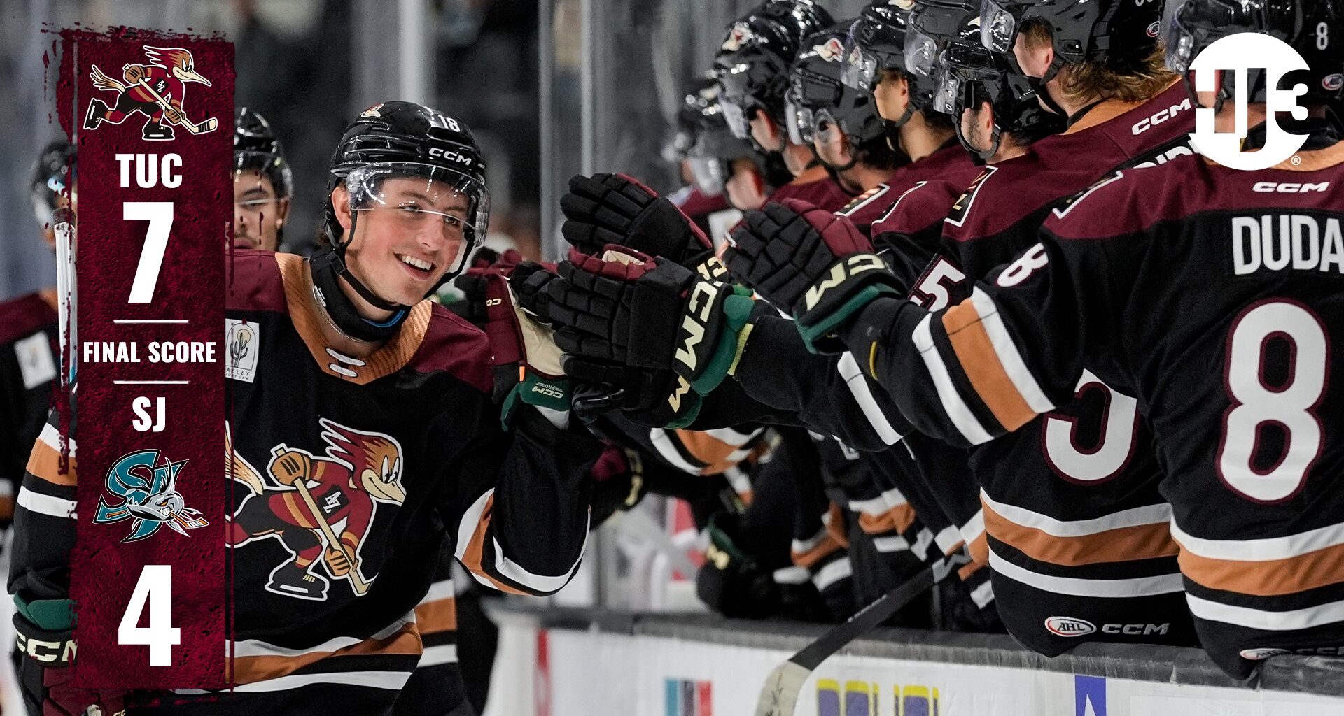Tucson Roadrunners Hockey