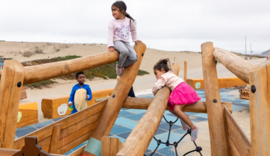 Two girls climb on a wooden playground structure, one sitting on top, another leaning over a beam, while a boy watches nearby on a cloudy day.