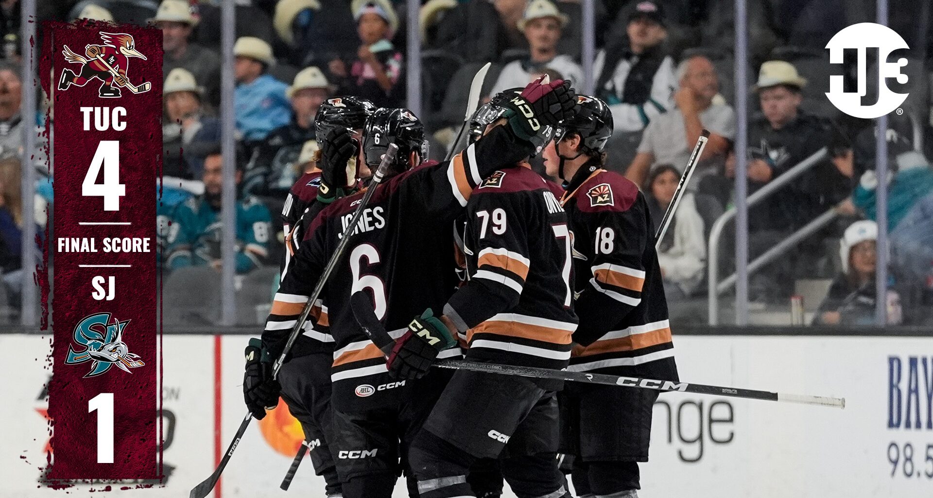 Tucson Roadrunners Hockey