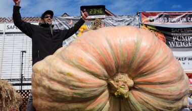 Giant pumpkins battle for heavyweight glory and the world record in California