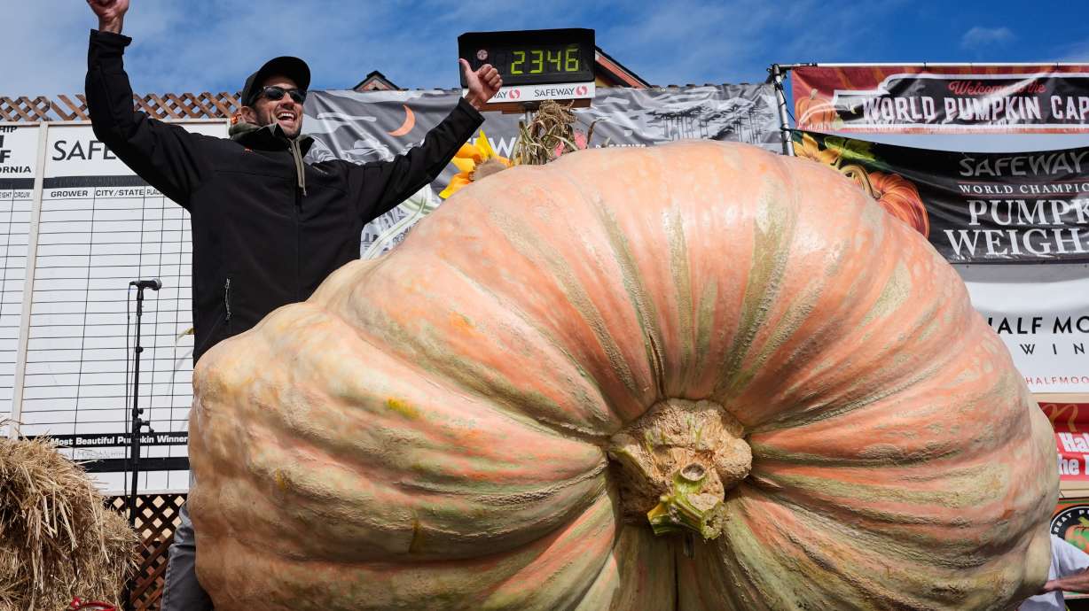 Giant pumpkins battle for heavyweight glory and the world record in California