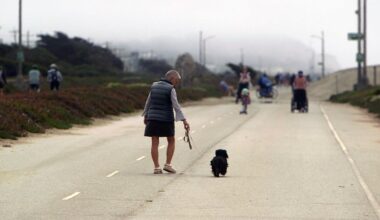 Prop G brings fight over Great Highway to San Francisco voters – NBC Bay Area