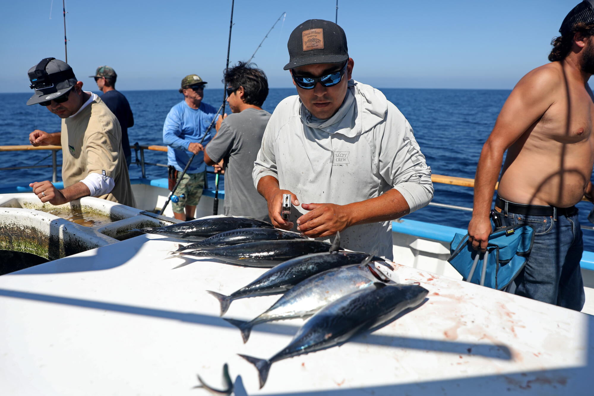 Eric Munoz tags bullet tuna for customers aboard the Dana Pride.