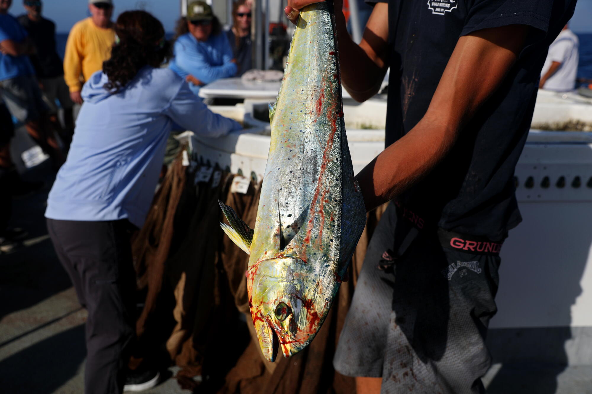 Brock Wetzel, a deckhand, holds a dorado caught by Sylvia Caliendo aboard the Dana Pride.