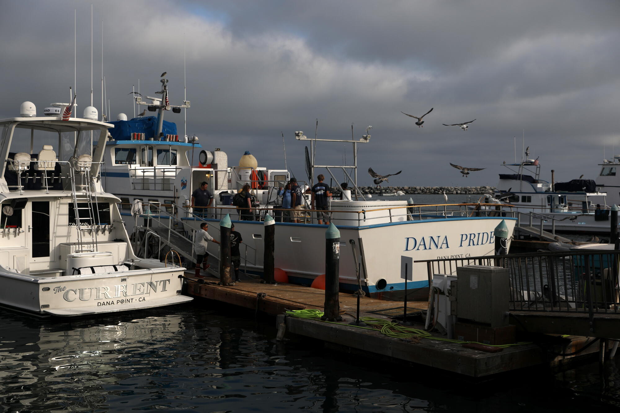 Customers prepare to get off the Dana Pride, out of Dana Wharf Sportfishing and Whale Watching in Dana Point.