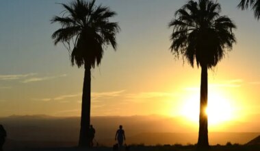 Sunset at a prak in Bakersfield, Calif.