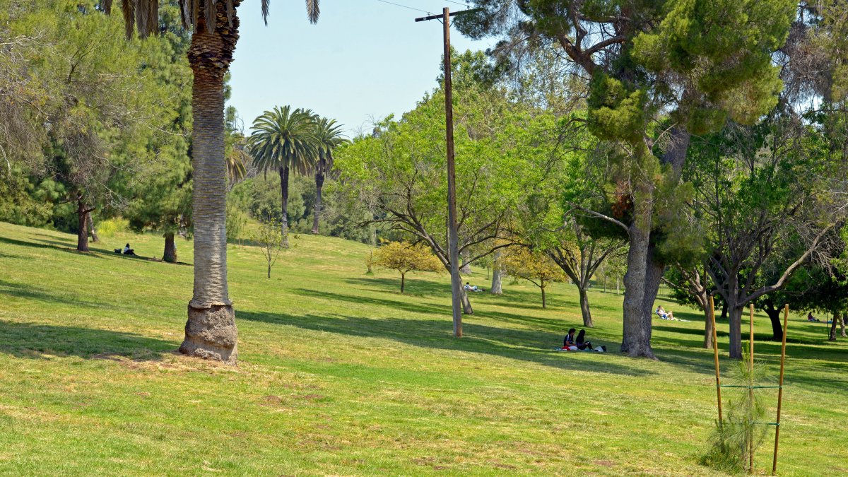 What to know about LA’s Charter Amendment PRK – NBC Los Angeles