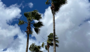 First extreme heat, then tropical storm, now high winds in store for San Diego