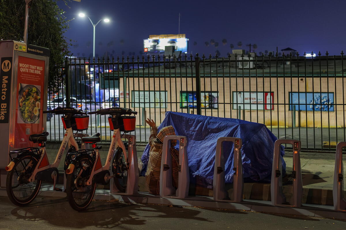 Los Angeles homeless count