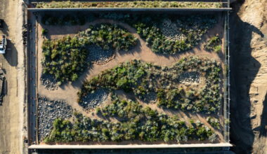 Here’s hoping El Niño doesn’t derail California’s wildlife crossing