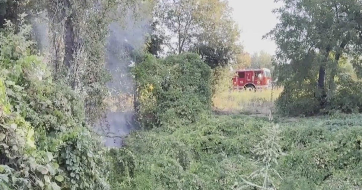 Sacramento firefighters respond to multiple suspicious fires along American River Parkway