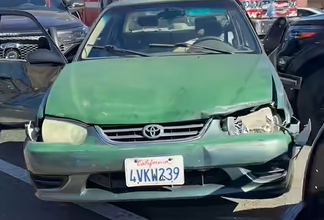 Two people arrested after pursuit involving stolen car and stolen dog
