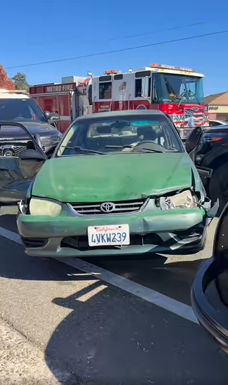 Two people arrested after pursuit involving stolen car and stolen dog