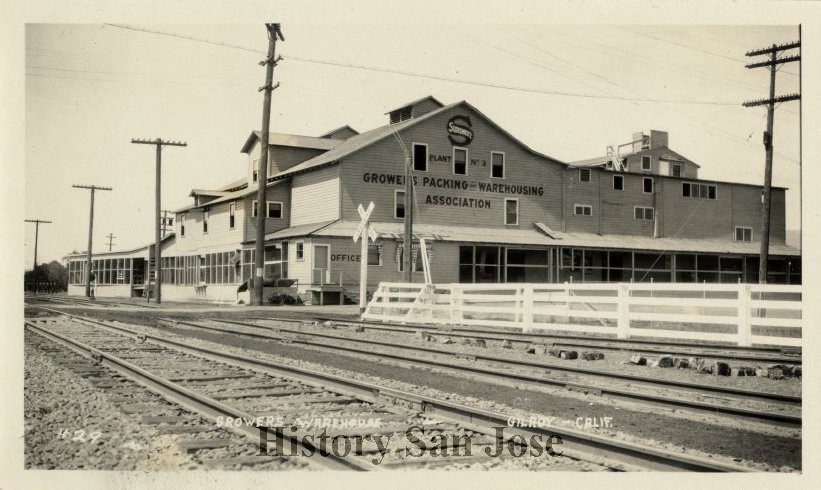 Fact Brief: Did Sunsweet Growers start in Santa Clara Valley?