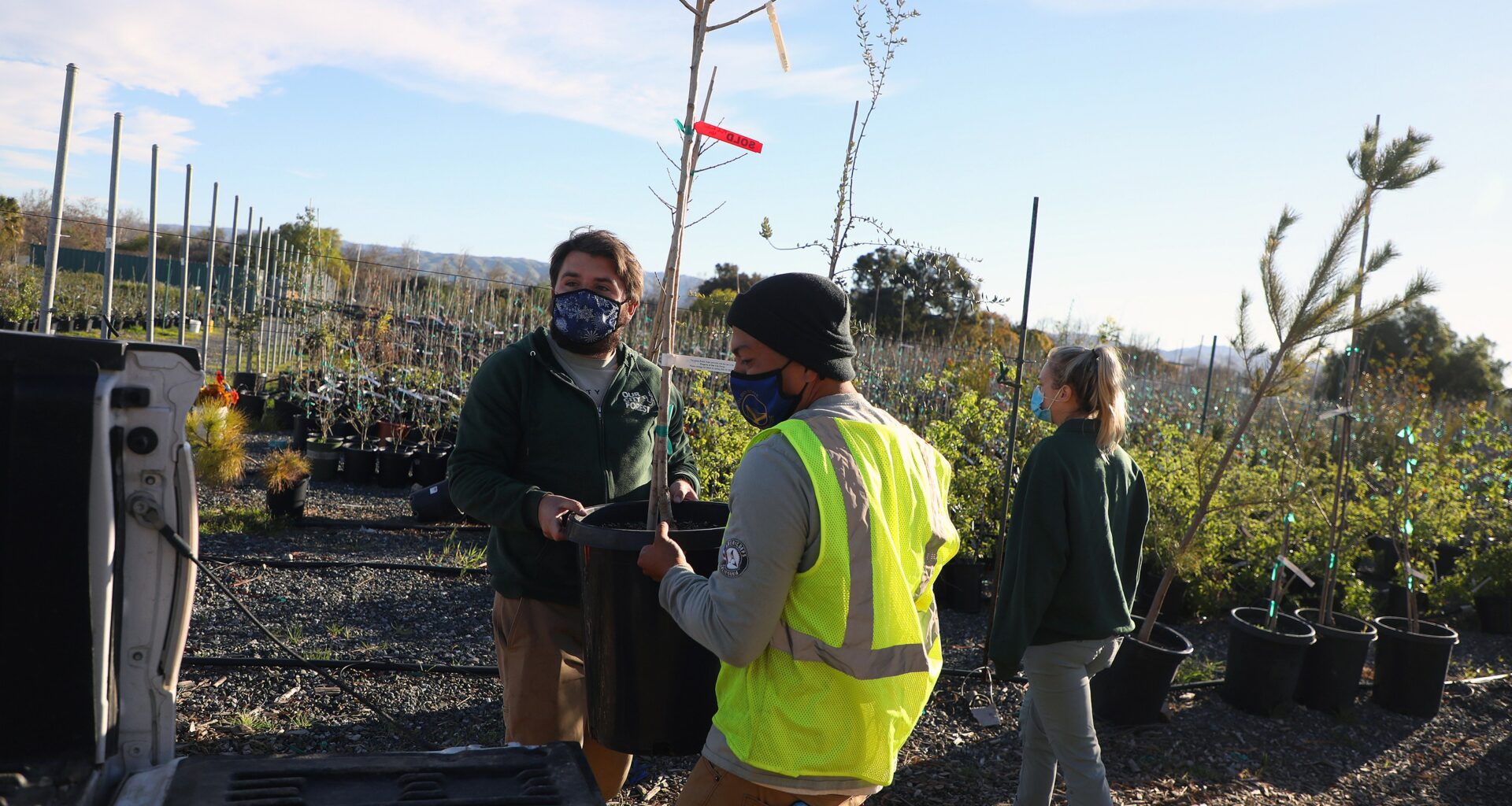 San Jose nonprofit Our City Forest continues to grow after 35 years