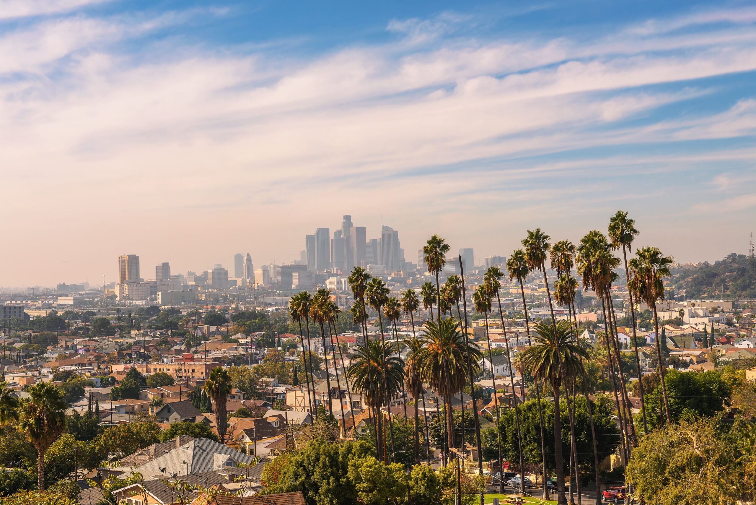 City skyline of Los Angeles in California during sunset with beautiful palm trees in the foreground.