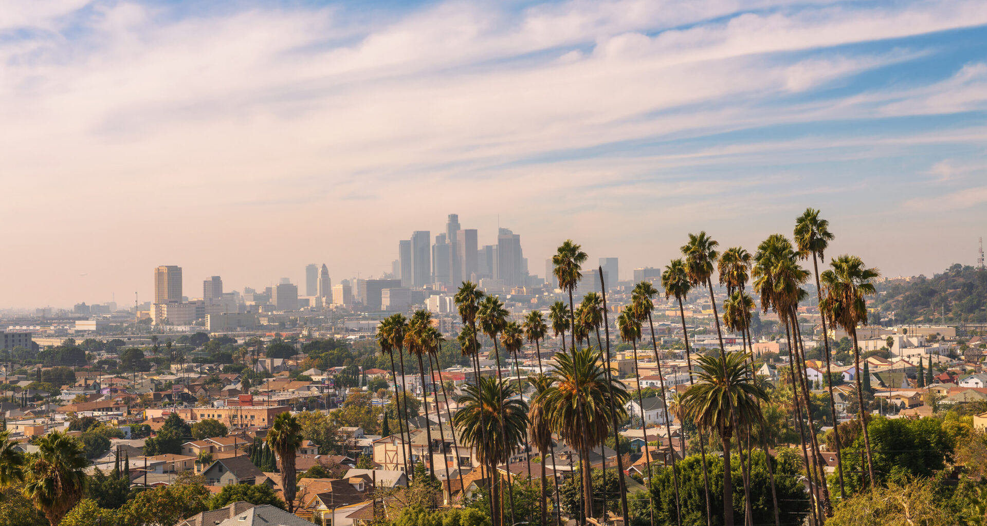 City skyline of Los Angeles in California during sunset with beautiful palm trees in the foreground.