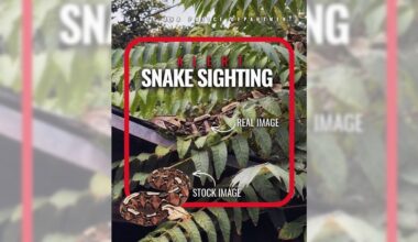 Fake AI-generated images are more convincing than ever. Are courts and police ready to combat them? – Orange County Register