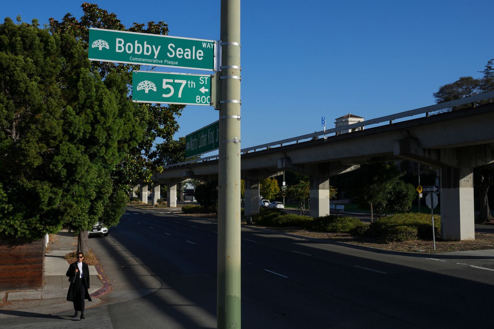 BLACK PANTHER LANDMARKS