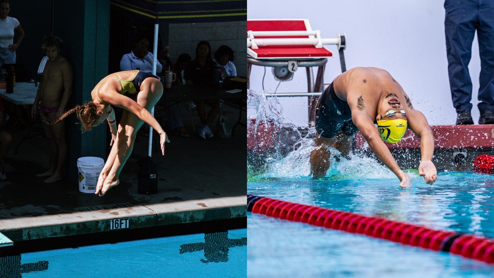 Bears Earn Top Finishes Across Two Meets