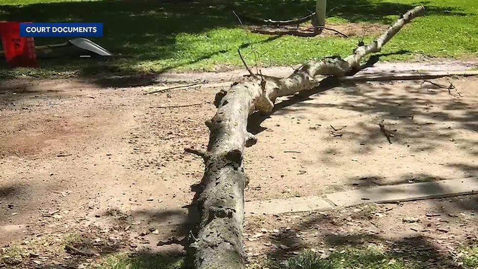 Michael Flynn was running when a dead tree limb fell 26 feet and struck him.