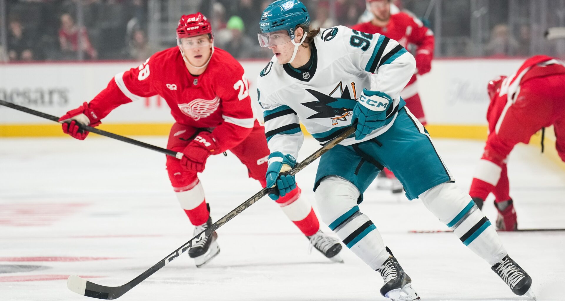 San Jose Sharks, Macklin Celebrini lose to Detroit Red Wings