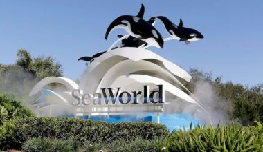 Former Marineland beluga whale dies at California theme park