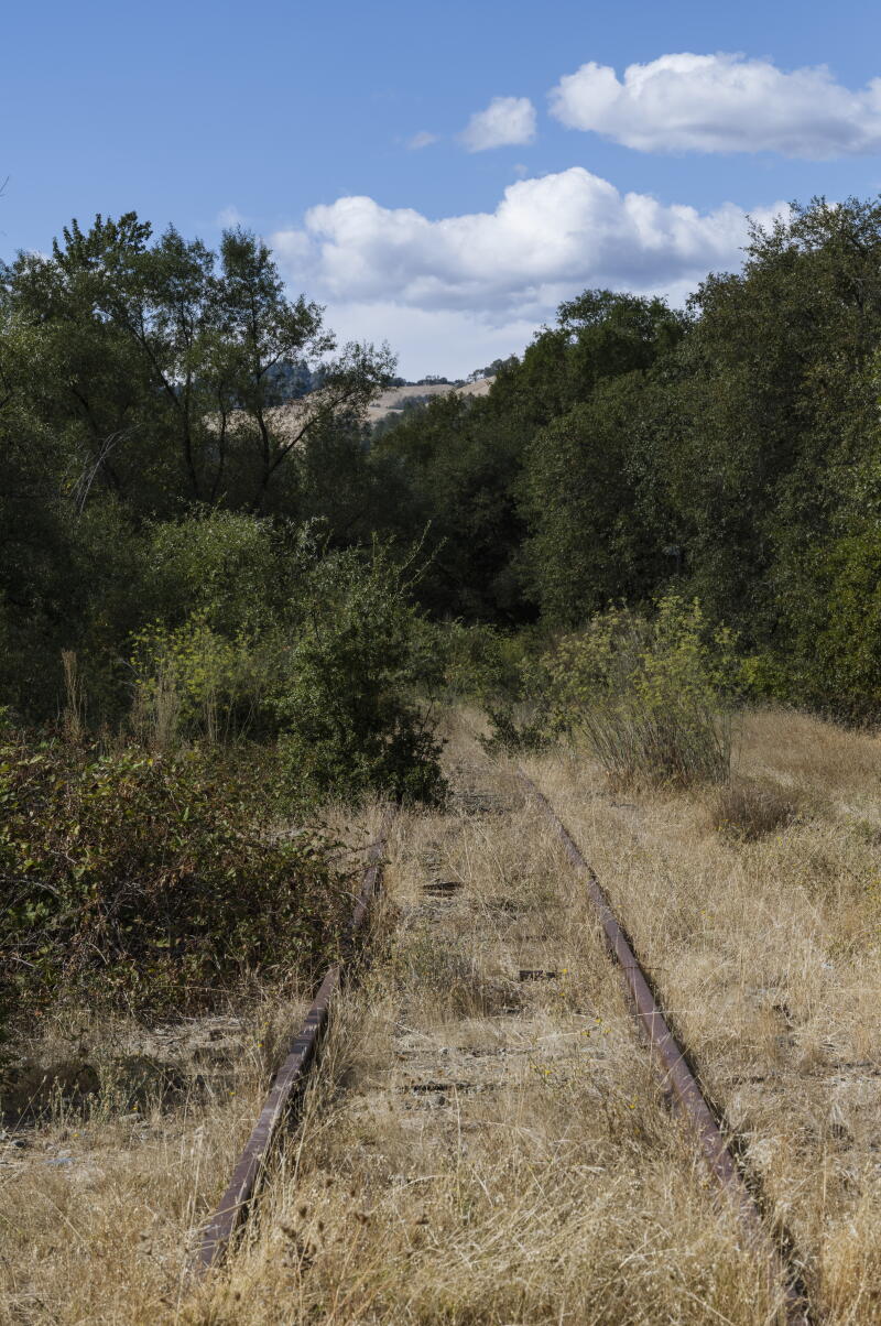 overgrown and unused railroad tracks