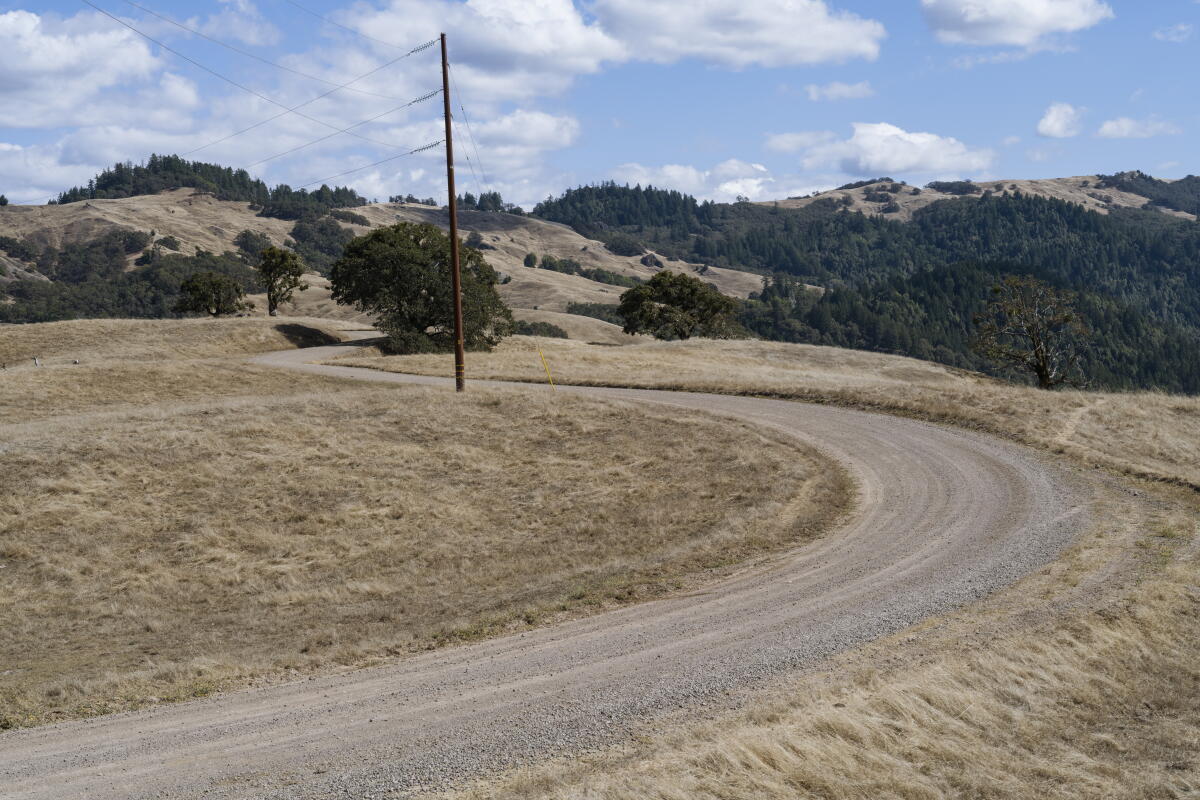 Dyerville Loop Road begins along the Eel River in Humboldt Redwoods State Park