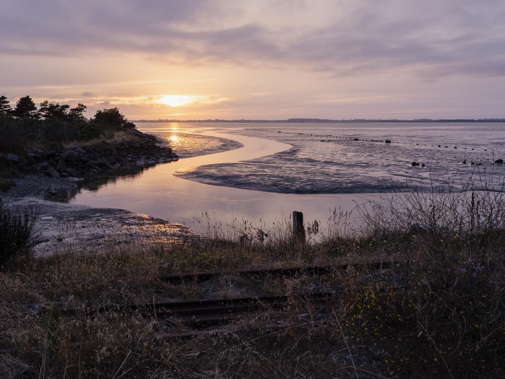 The Humboldt Bay Trail connects Arcata and Eureka via a 6.5 mile multi-use trail set between the 101 freeway and the bay.
