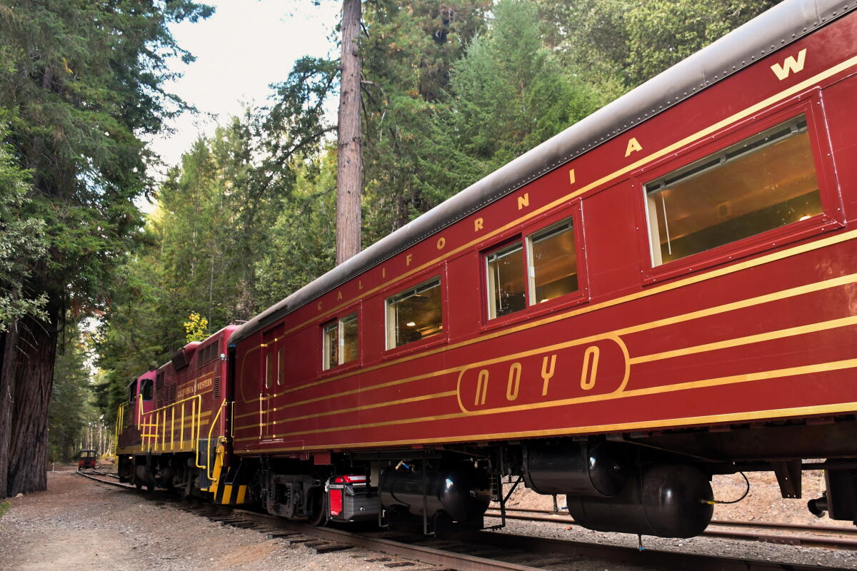 A train with red cars striped in gold moves along tracks amid a forest.