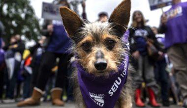 SEIU Local 1000 and state fail to reach deal before strike