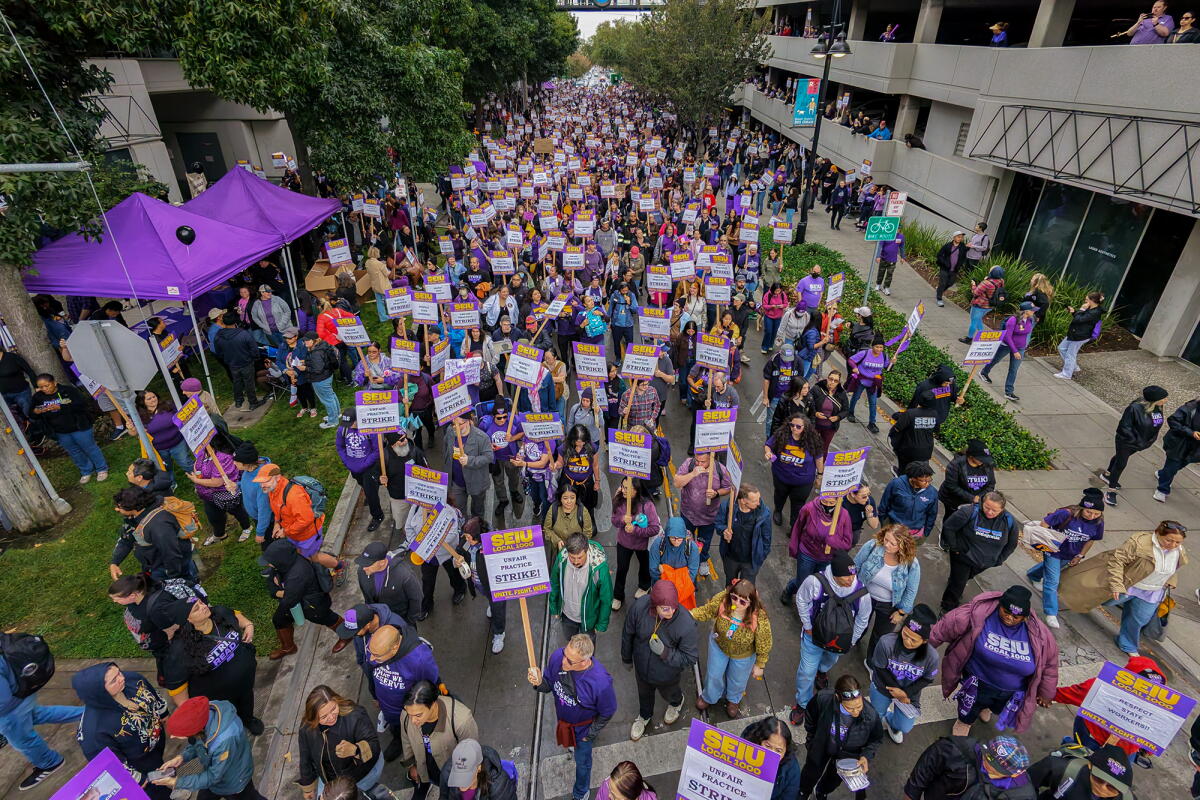 An aerial view of people filling a public street as they march and hold purple signs between buildings.