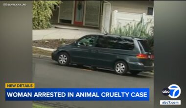 75-year-old woman arrested accused of intentionally running over puppy in Santa Ana