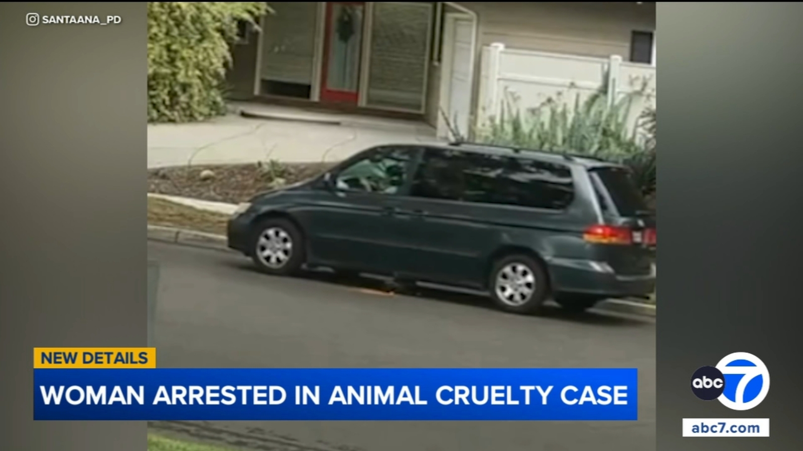 75-year-old woman arrested accused of intentionally running over puppy in Santa Ana