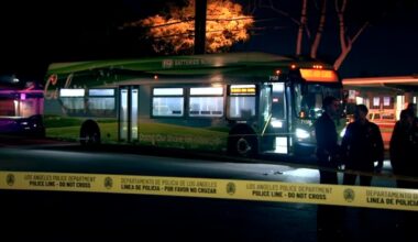 Culver City suspends bus service after driver fatally shot by passenger in Mar Vista; gunman still at large