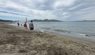 Bay Area Heat Advisory: October San Francisco weather draws crowds to beaches, events and fan stores
