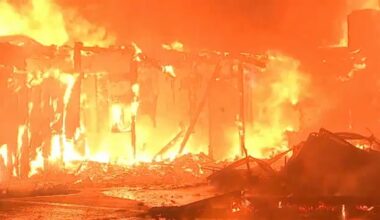 Eaton, Palisades wildfire response was marred by poor communication and other systemic failures: New report