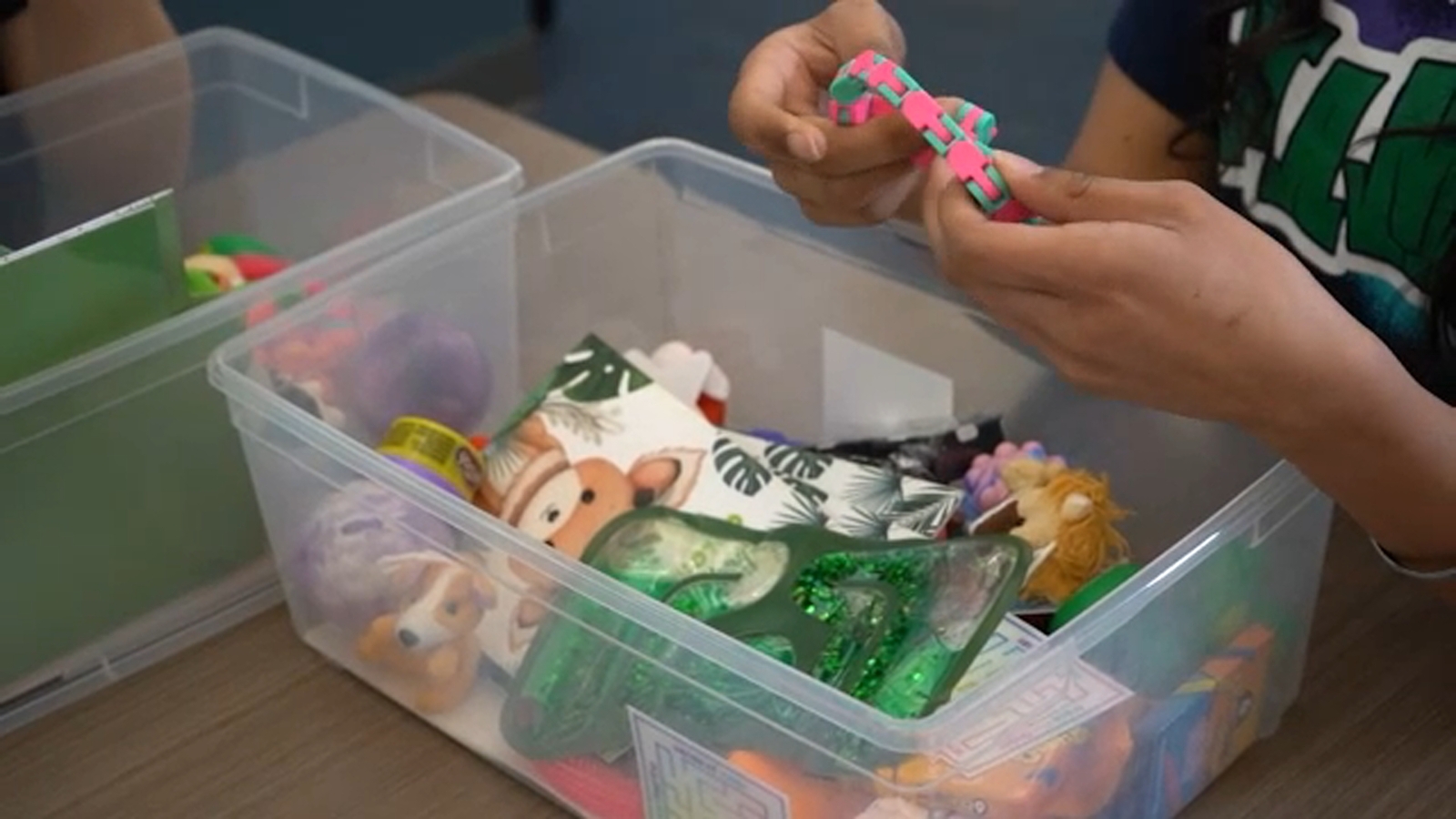 Justin Garza High School students bring mental health project to statewide NAMI conference