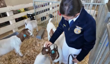 Big Fresno Fair recognizes AG students on opening day