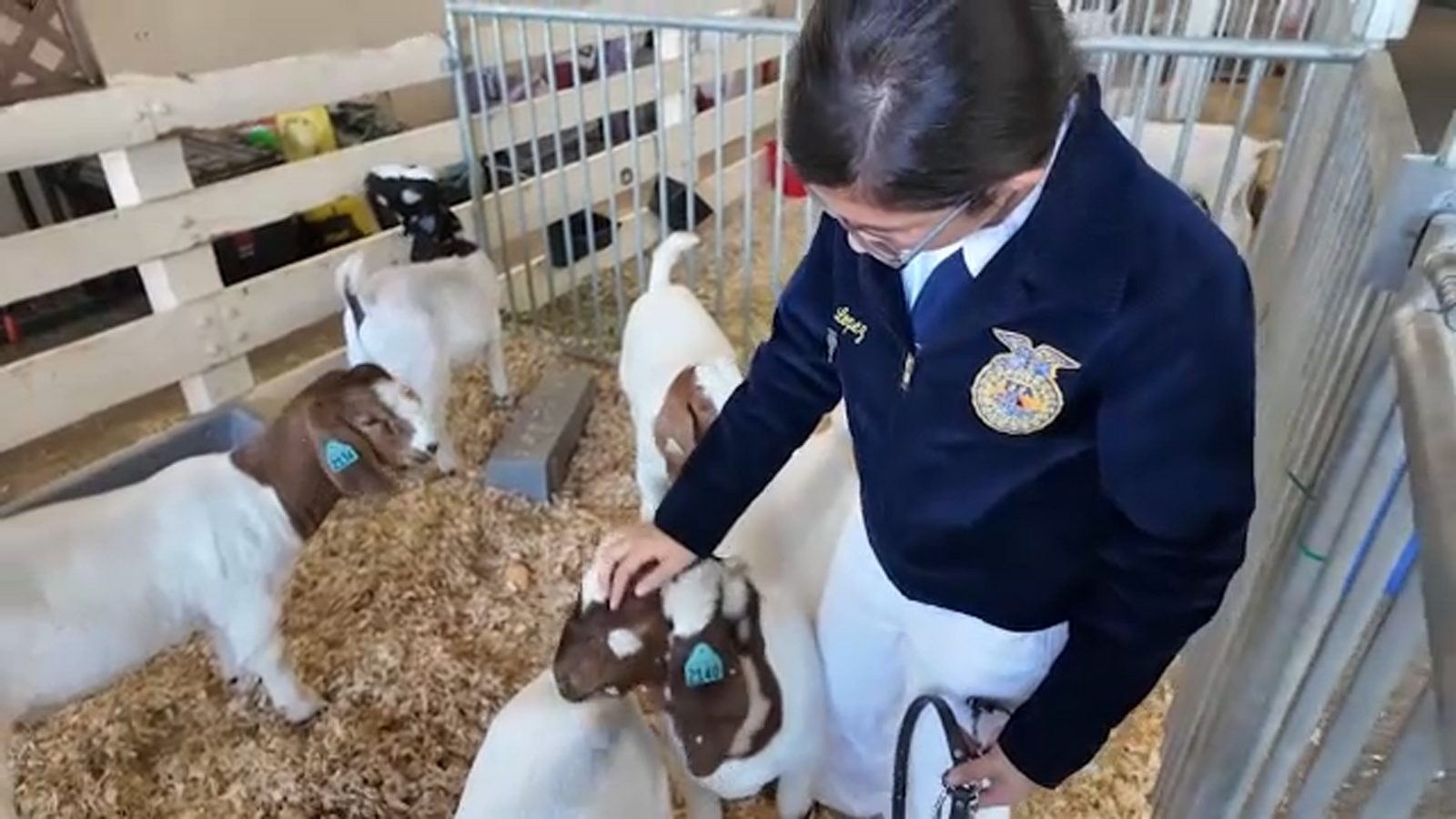 Big Fresno Fair recognizes AG students on opening day