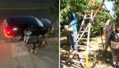ICE sightings across the Valley fuel fear among farmworkers, families