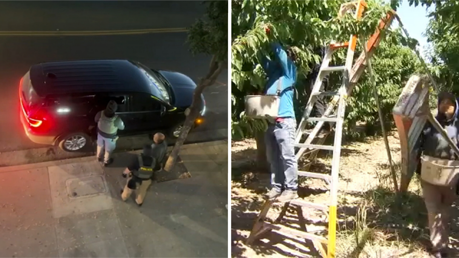 ICE sightings across the Valley fuel fear among farmworkers, families