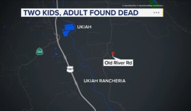 2 Mendocino County children killed in suspected murder-suicide by father near Ukiah, sheriff says